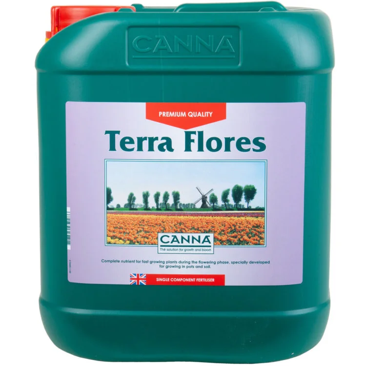 Canna Terra Flores